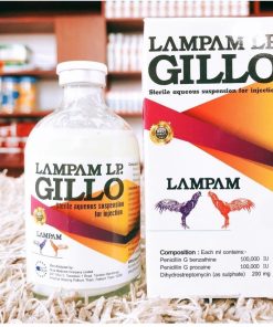 GILLO LP LAMPAM